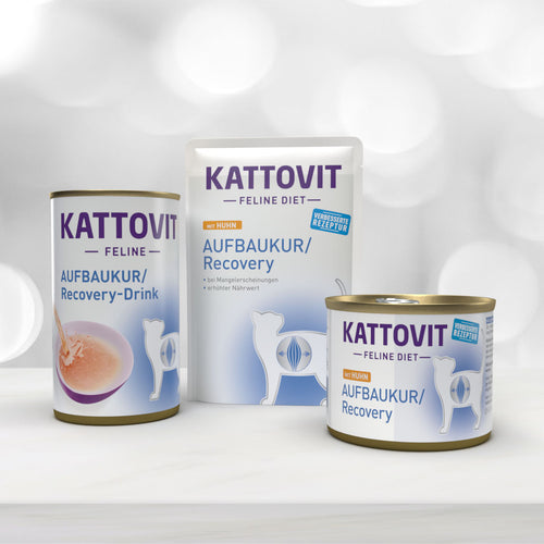 Drei KATTOVIT Produkte mit 'Aufbaukur/Recovery' für Genesung bei Mangelerscheinungen.