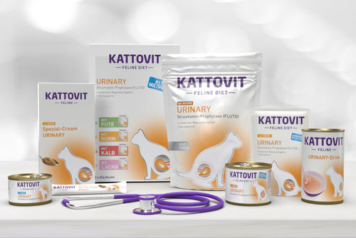 KATTOVIT Urinary-Produktvielfalt: Nass-, Trockenfutter und Katzensnacks in verschiedene Verpackungen und Größen.