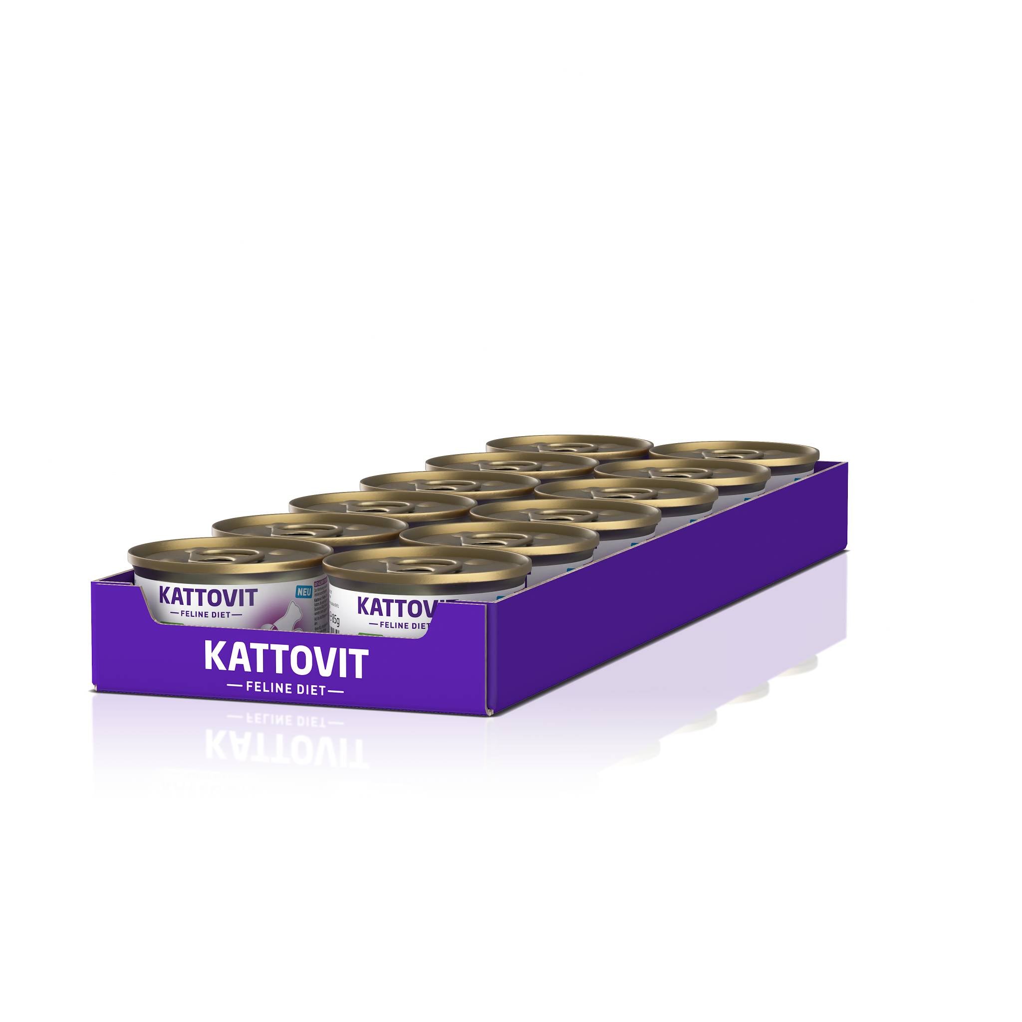 Lila Karton mit 12 KATTOVIT Feline Diet-Dosen Sensitive, sauber angeordnet.