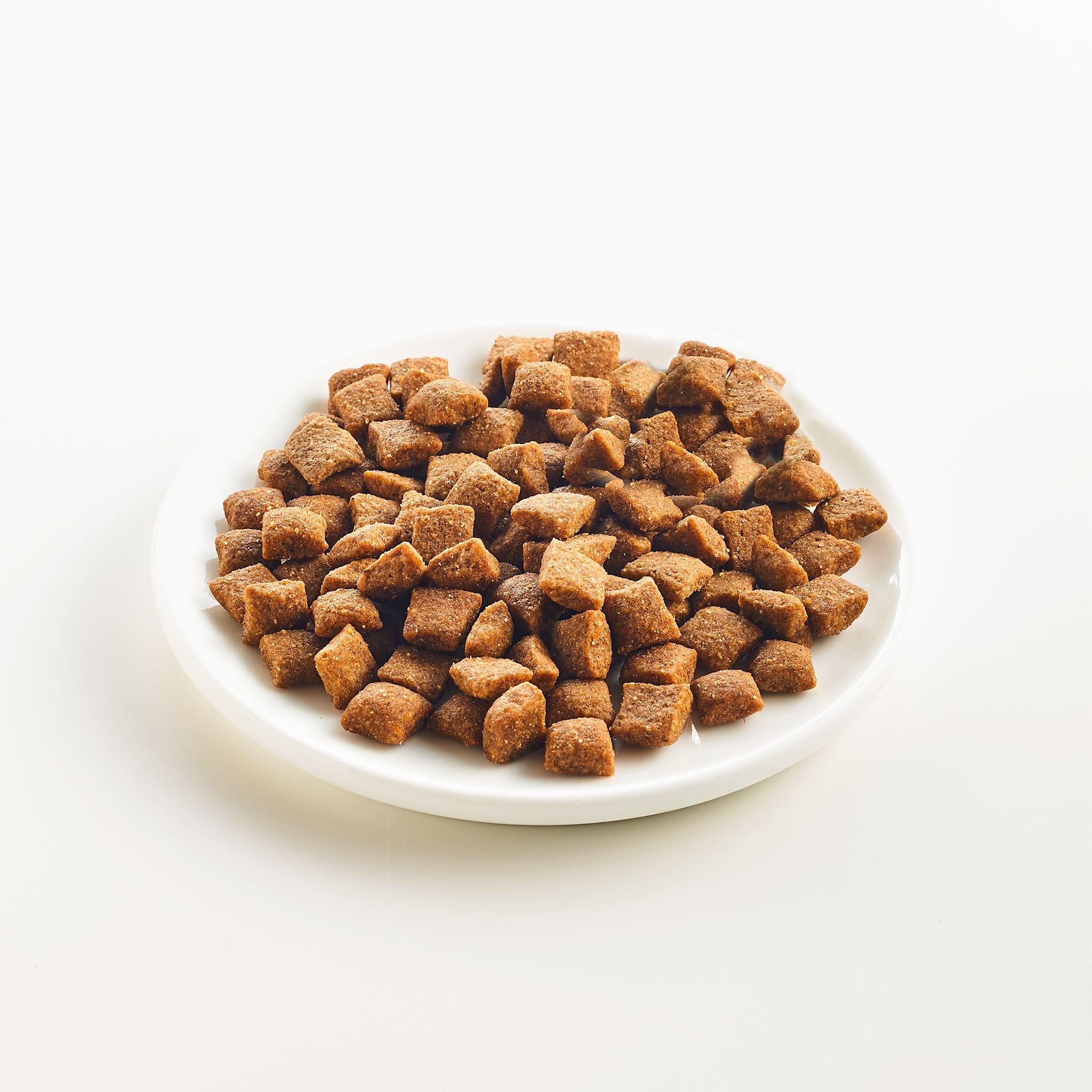 Eine weiße Schale mit Katzenfutter, die mit kleinen braunen, quadratischen Kroketten gefüllt ist.