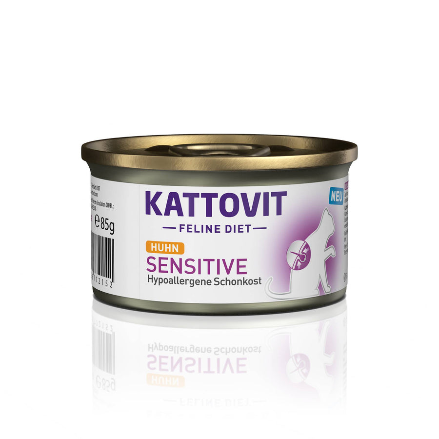 Katze hat Entzündung im Maul