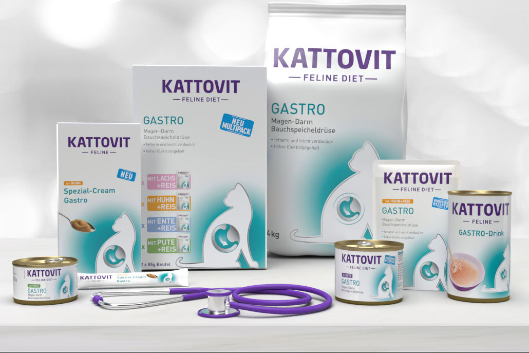 Kattovit Gastro